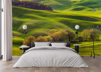 Fresh spring green grass gilding in the light of sunset in the f Wall mural