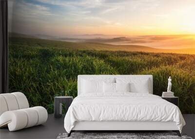 Mist flowing in the green fields of Tuscany Wall mural