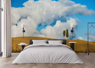 tuscany with two cypress trees and clouds in the background Wall mural