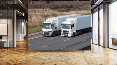 Road transport - two lorries on the motorway driving side to side Wall mural