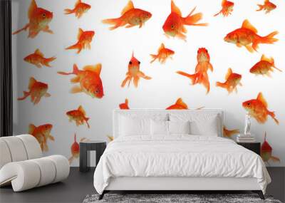 Fantail goldfish collage Wall mural