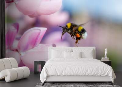 Bumblebee flying and pink flower Wall mural