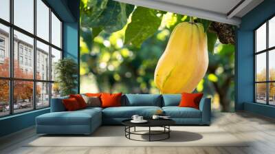 Yellow Chayote Squash Hanging on Tree Wall mural