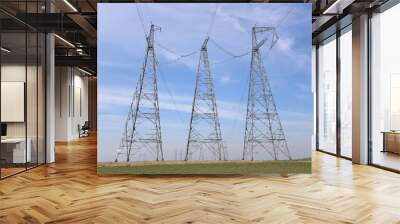 high-voltage power transmission towers Wall mural