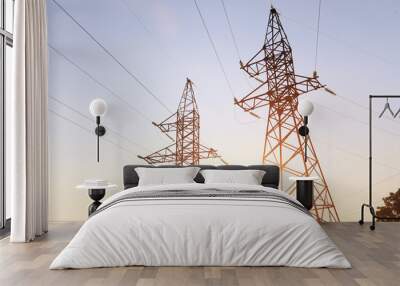 power line at sunset Wall mural