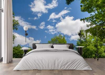 A view of a blue sky with some cumulus clouds and trees framing the scene Wall mural