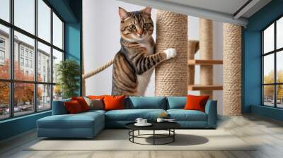  A cat climbing a scratching post with determination.  Wall mural