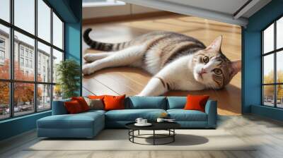  A cat stretched out luxuriously on a sunny spot on the floor.  Wall mural