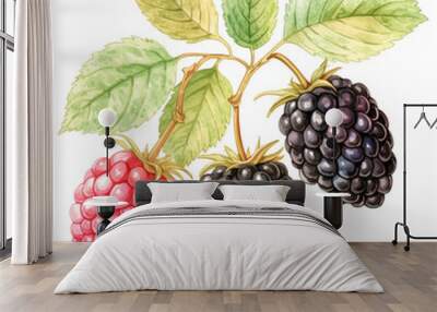 Blackberry, Fruits, Watercolor illustrations Wall mural