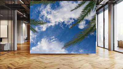 Beautiful texture of background with blue sky and palm leaves. Wall mural