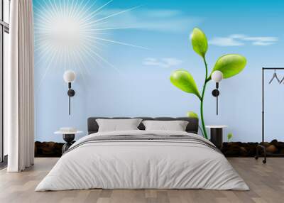 Green sprout , soil and blue sky with sun and clouds Wall mural