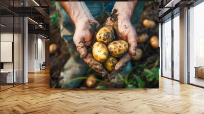 Hands full of potatoes with farmland background Wall mural