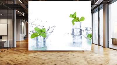 ice cubes and splashing water with mint on a white background Wall mural