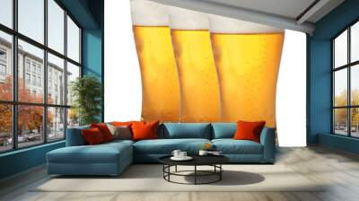 A row of beer pints isolated on white background Wall mural