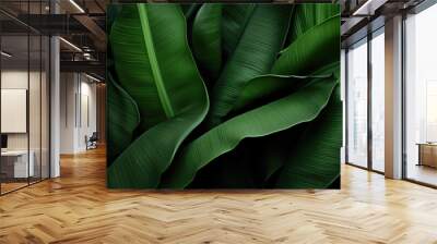  Banana leaves close up. Natural, green, tropical forest leaves background Wall mural