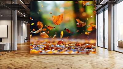 Autumn colorful background, fall backdrop Wall mural