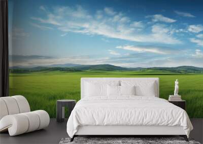 Beautiful natural scenic panorama green field of cut grass and blue sky with clouds on horizon. Perfect green lawn on sunny day Wall mural