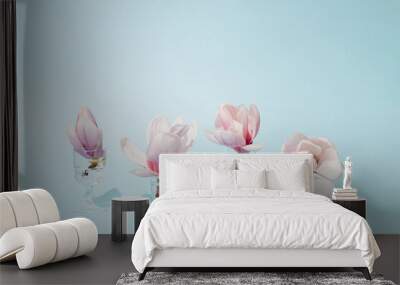 Magnolias flowers in crystal glasses against sunny pastel blue background. Minimal spring idea. Wall mural