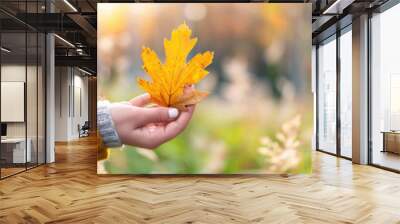 Woman holding yellow oak leaf close-up in hand in fall season - autumn and nature concept Wall mural