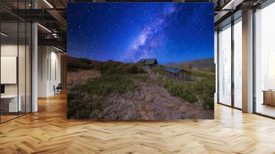 Building of a house with glass greenhouse in the middle of a shrubland under the vibrant night sky Wall mural