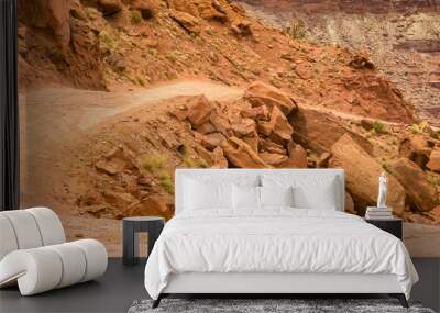 Curving off road trail by the cliffs in Moab Utah Wall mural