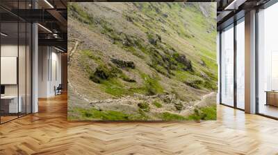 Snowdon path Wall mural