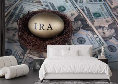 Money and gold nest eggs concept for retirement, savings, and financial planning Wall mural