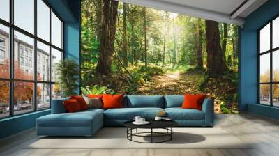 Spectacular autumn forest colours and views of magical light and paths in the woods.  Bowen Island BC Canada. Wall mural