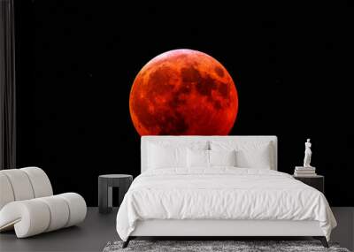 Super Blood Wolf Moon Wall mural