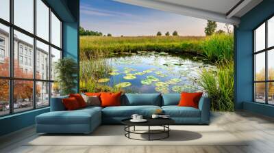 Natural pond in nature reserve near Bodegraven in the Netherlands. Pond with water lillies, reed and rich grassland. Wetlands biodiversity. Wall mural