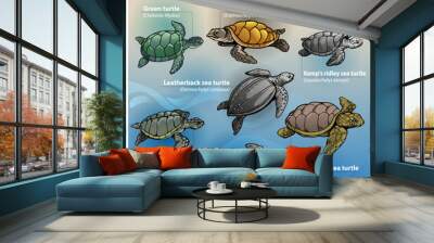 Vector illustration, infographic about types of sea turtles. Wall mural