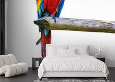 Ara parrot over white background Wall mural