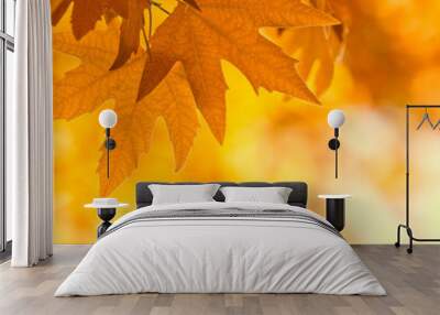 autumn leaves, very shallow focus Wall mural