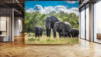 Elephants family in Kruger National Park, South Africa. Wall mural