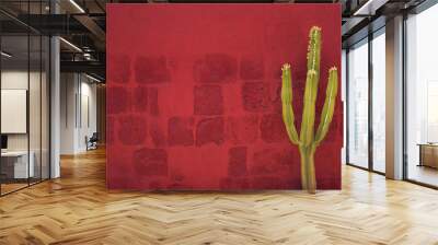 Green Cactus over red wall, Santa Catalina Monastery, Arequipa, Wall mural