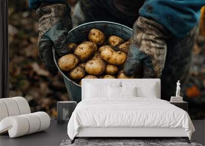 Farmer hands harvesting potatoes in a bucket. AI generated image Wall mural