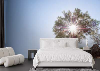 Tree with the sun in the background and a beautiful blue sky Wall mural