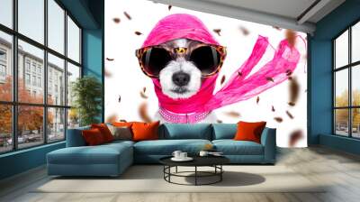 chic diva dog in autumn or fall windy Wall mural