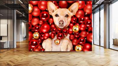 christmas santa claus dog and xmas balls Wall mural