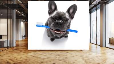 dental toothbrush  row of dogs Wall mural