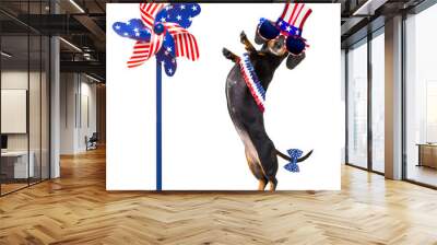 independence day 4th of july dog Wall mural