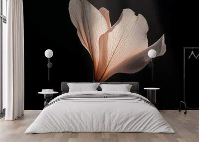 Delicate flower backlit with dramatic lighting Wall mural