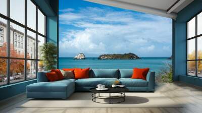 Virgin beach in the Caribbean. Turquoise blue beaches, with cliffs and vegetation Wall mural