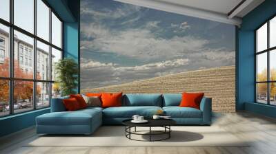 campo de trigo Wall mural