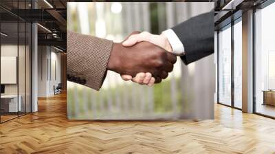 black businessman shaking hands with a caucasian one Wall mural