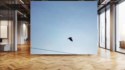 a single bird is fling in the sky silhouette photo Wall mural