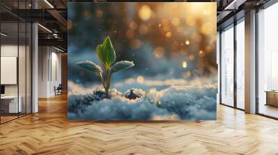 Close-up of a young plant sprout growing in soil on a winter background with sunlight, macro photo. Concept of new life, springtime growth, Generative AI
 Wall mural