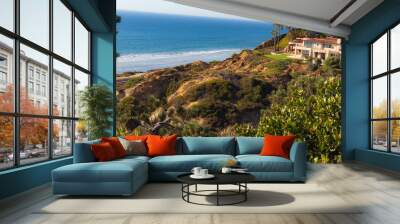 Del Mar Cliffs Wall mural