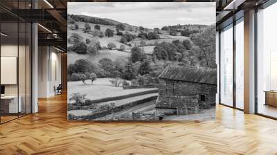 Rural countryside, Yorkshire, England, UK Wall mural