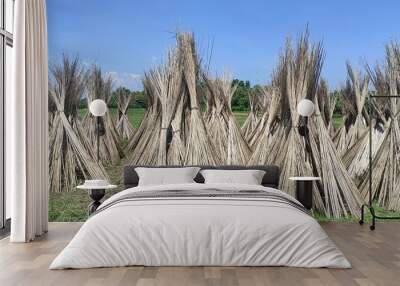 Close up of long sticks of Jute plants drying in sunlight, selective focusing Wall mural